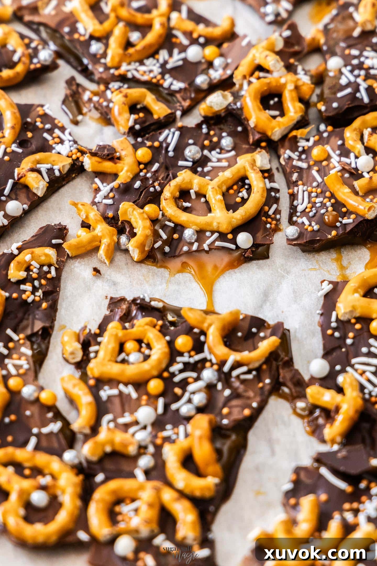 A close-up of chocolate bark filled with pretzels and luscious caramel oozing out from a broken shard.
