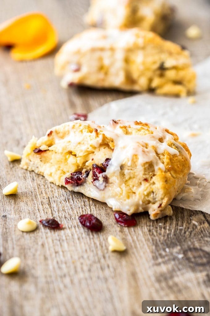Close-up of a tender cranberry scone, showcasing its soft interior and festive cranberries.