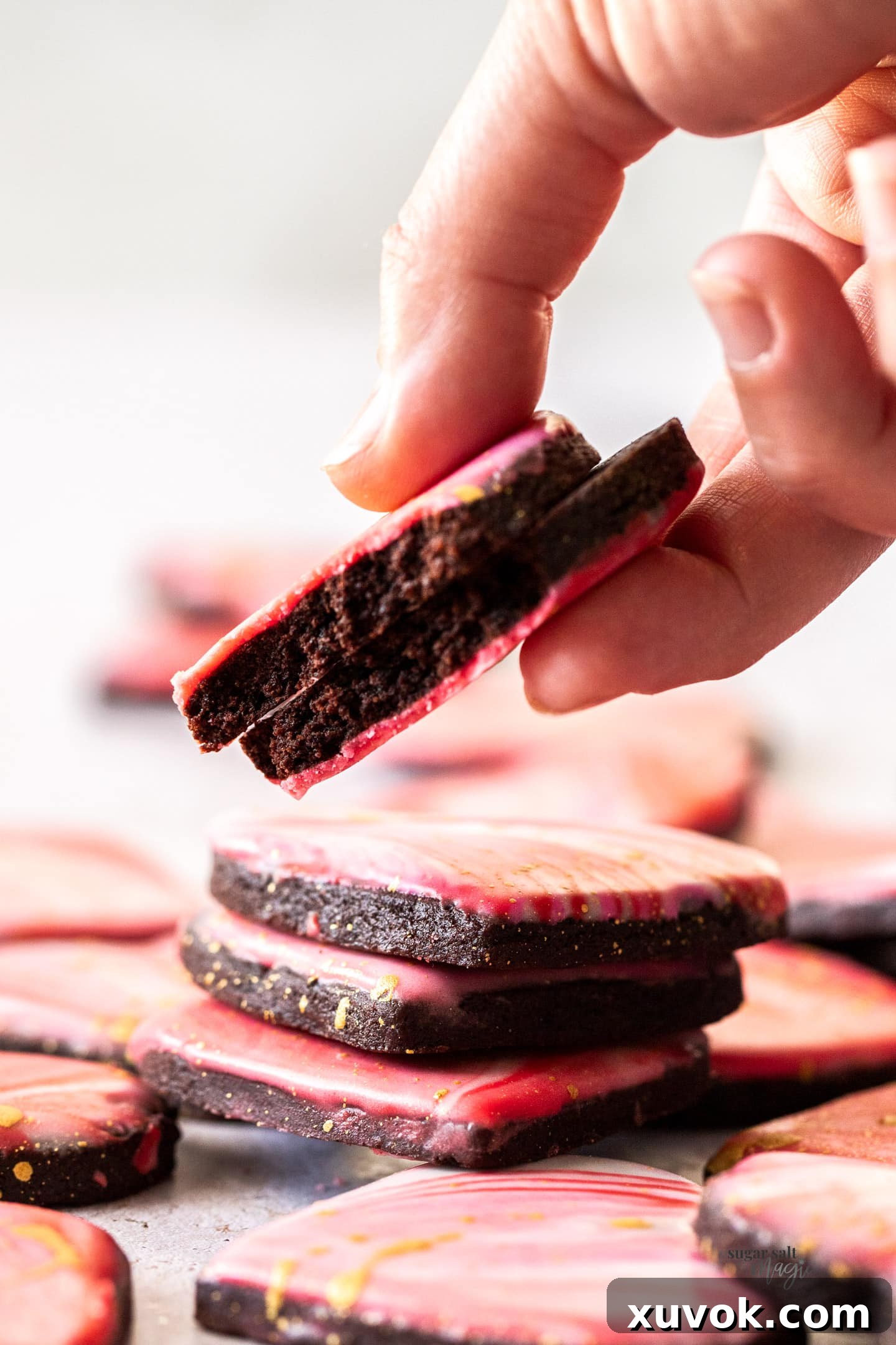 A hand holding a chocolate sugar cookie broken in half.