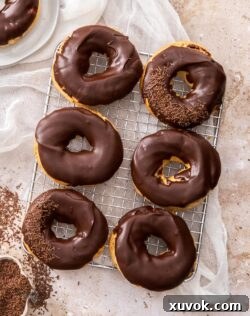 6 chocolate chouxnuts on a wire cooling rack.