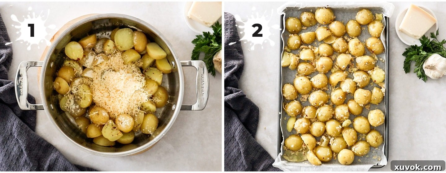 Baby potatoes coated in parmesan and garlic on a sheet pan, ready for roasting.