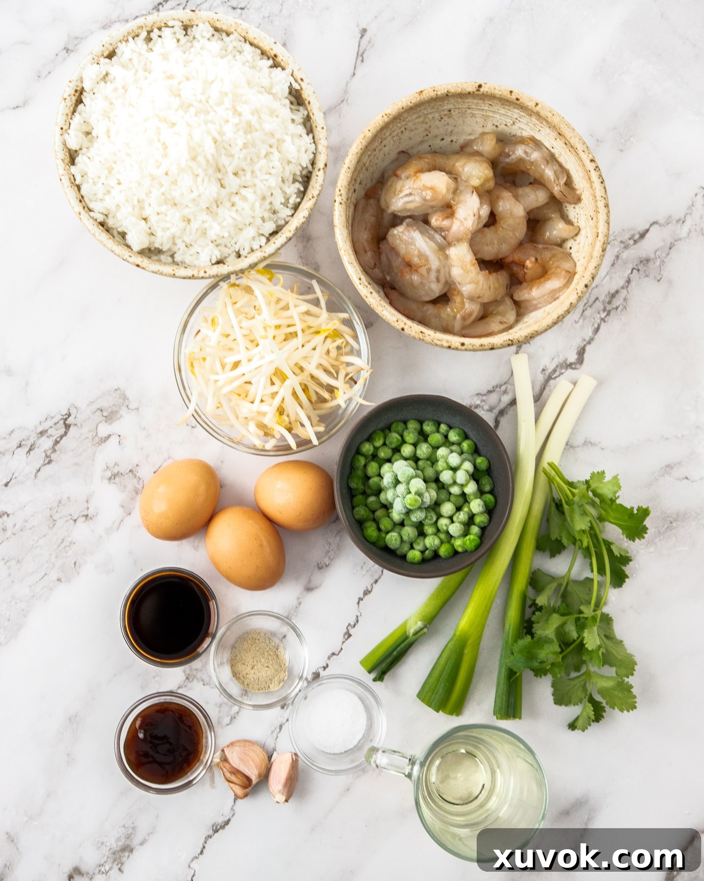Ingredients for prawn fried rice laid out on a marble background, including fresh prawns, jasmine rice, eggs, soy sauce, oyster sauce, garlic, spring onions, peas, and bean sprouts.