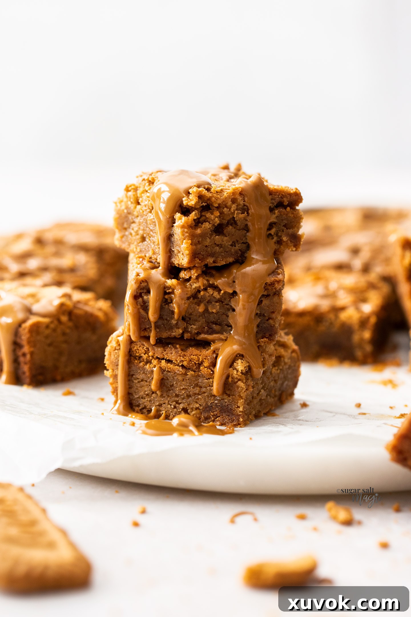 A stack of three golden-brown Biscoff blondies with creamy Biscoff spread drizzling invitingly down the sides, showcasing their rich, fudgy texture and warm caramel hue.