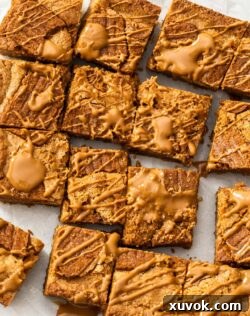 Top down view of a batch of Biscoff blondies, dolloped with Biscoff spread.