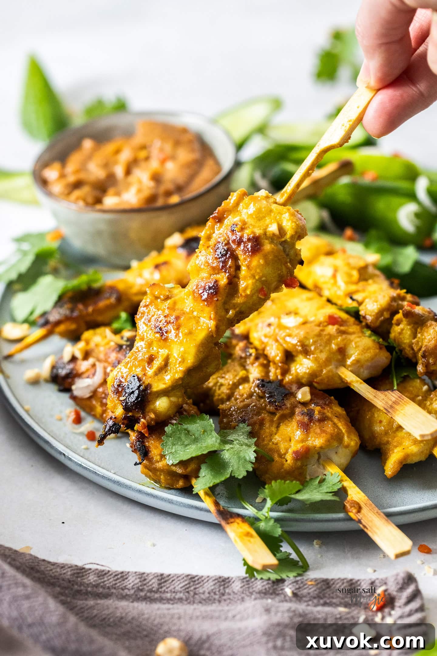 A single perfectly grilled chicken satay skewer, showcasing its golden-brown char and succulent texture.