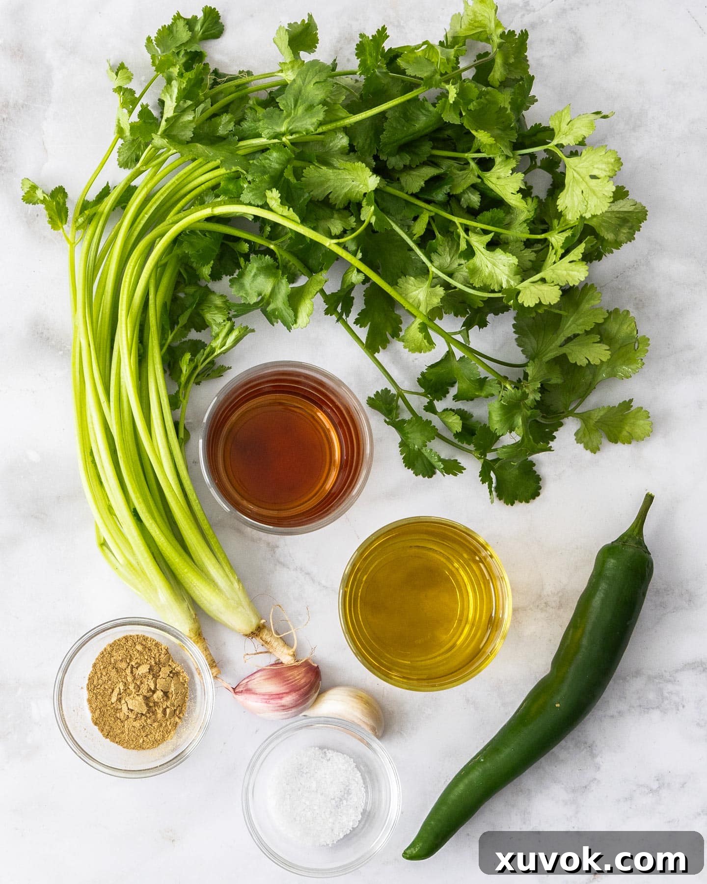 A beautiful flat lay photograph of all the fresh ingredients required to make mojo verde, arranged artfully on a marble surface.
