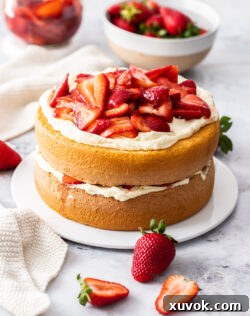 A strawberry sponge cake on a cake platter, perfectly garnished.