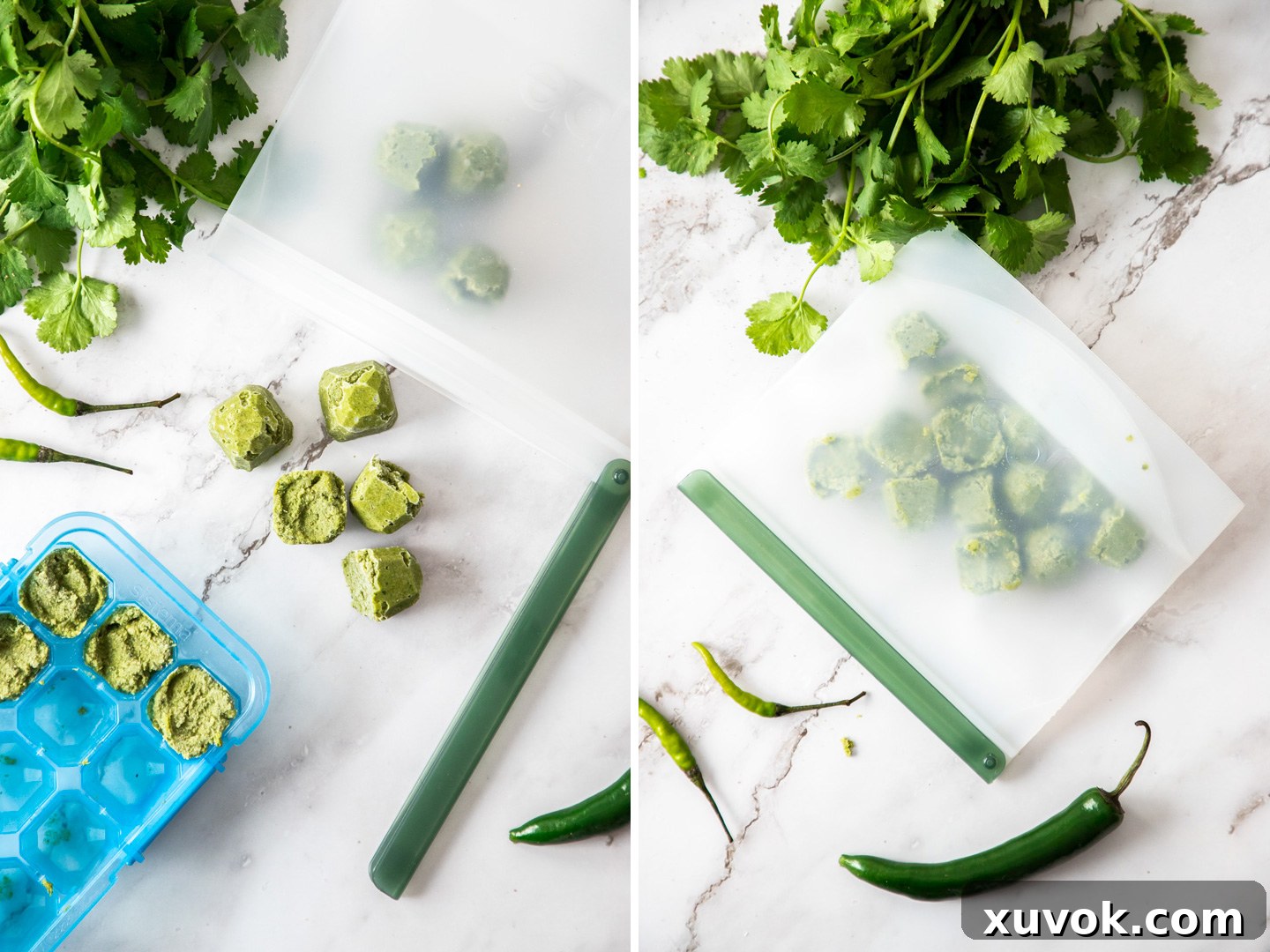 Frozen green curry paste cubes being carefully transferred into a reusable freezer bag for long-term storage.