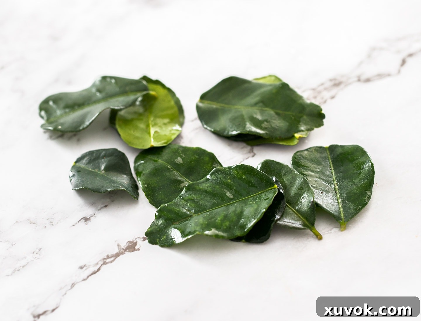 A pile of fresh makrut lime leaves (kaffir lime leaves) on a marble surface, ready for preparation.