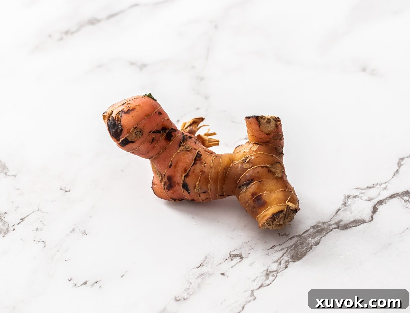 A piece of fresh galangal root on a marble countertop, showing its characteristic pink hue.