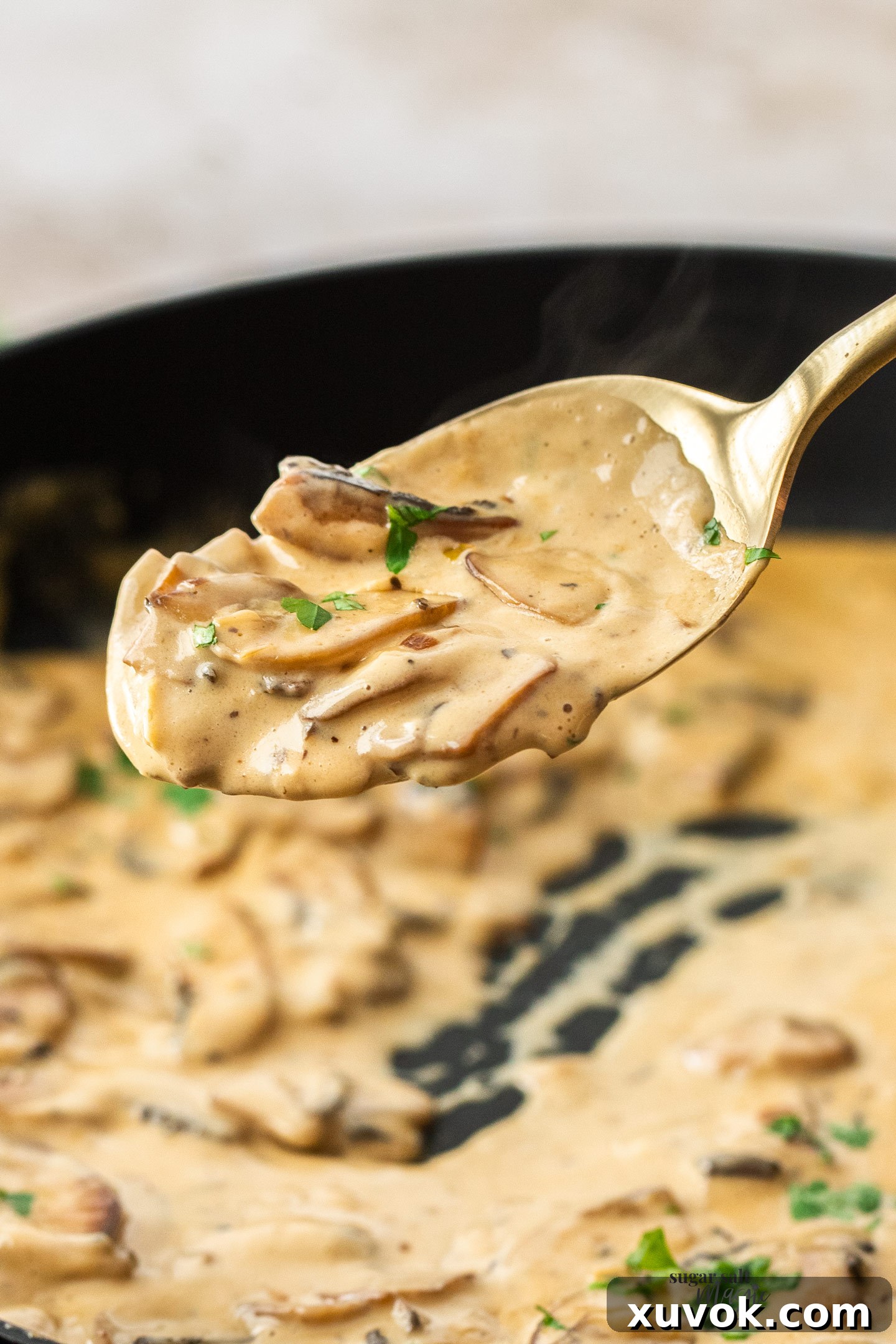A spoon laden with rich, creamy mushroom sauce, ready to be served over a meal.