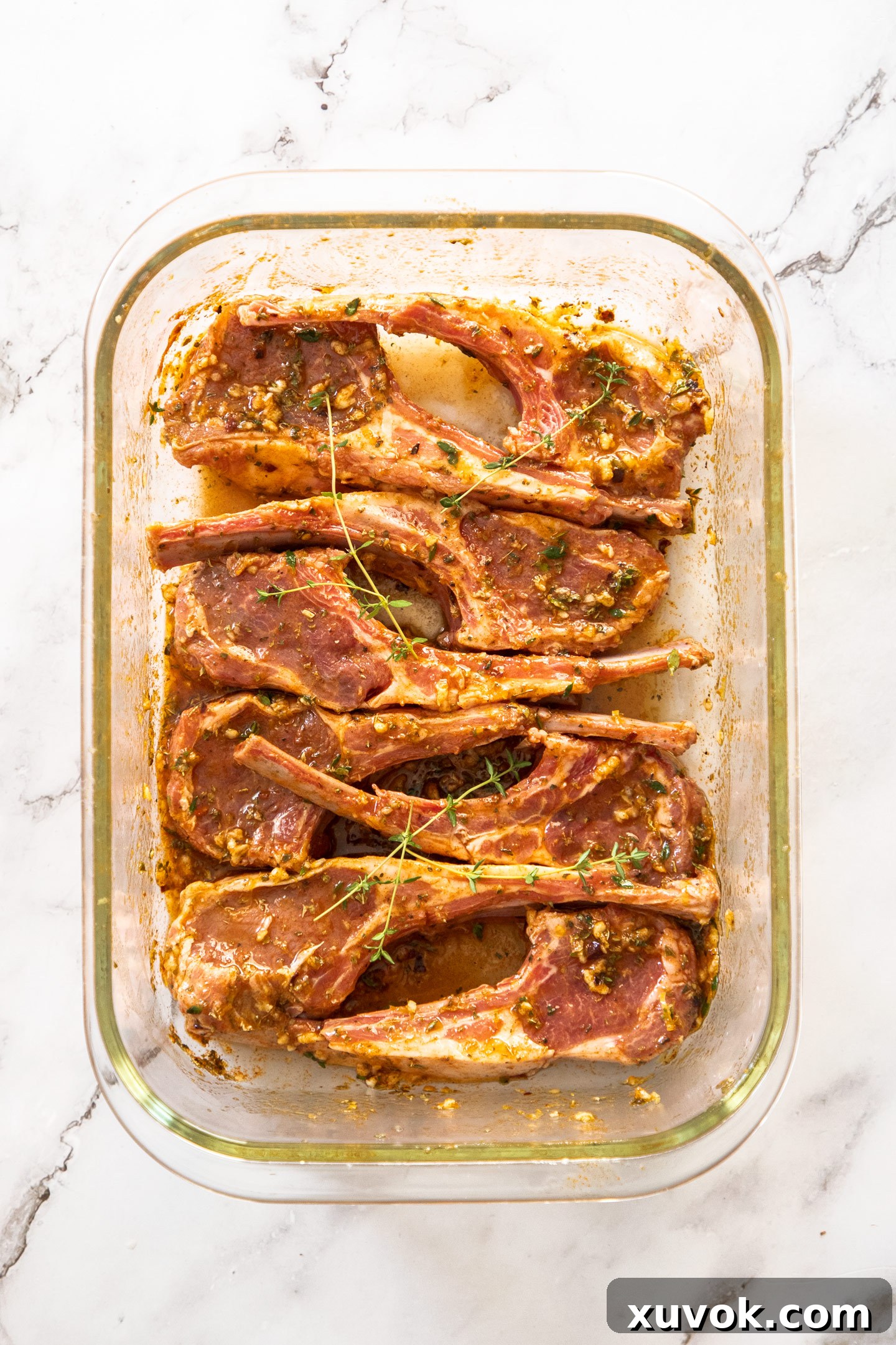 Eight lamb chops, beautifully coated in the Greek marinade, are arranged in a glass baking dish, ready for chilling and flavor infusion.
