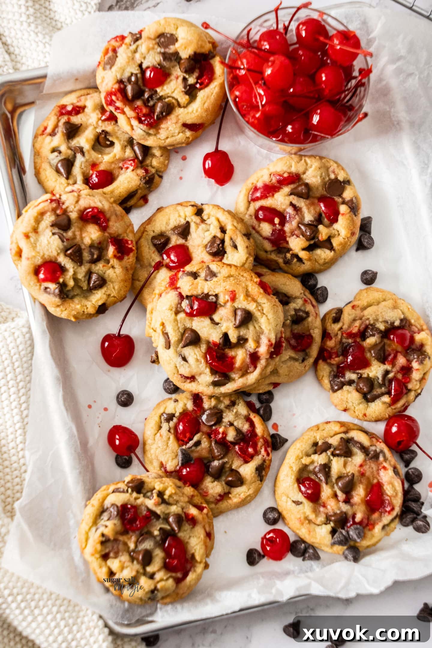 A batch of 11 cherry chocolate chip cookies freshly baked on a baking tray.