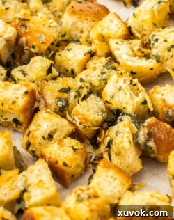 Closeup of golden cheese and garlic croutons.