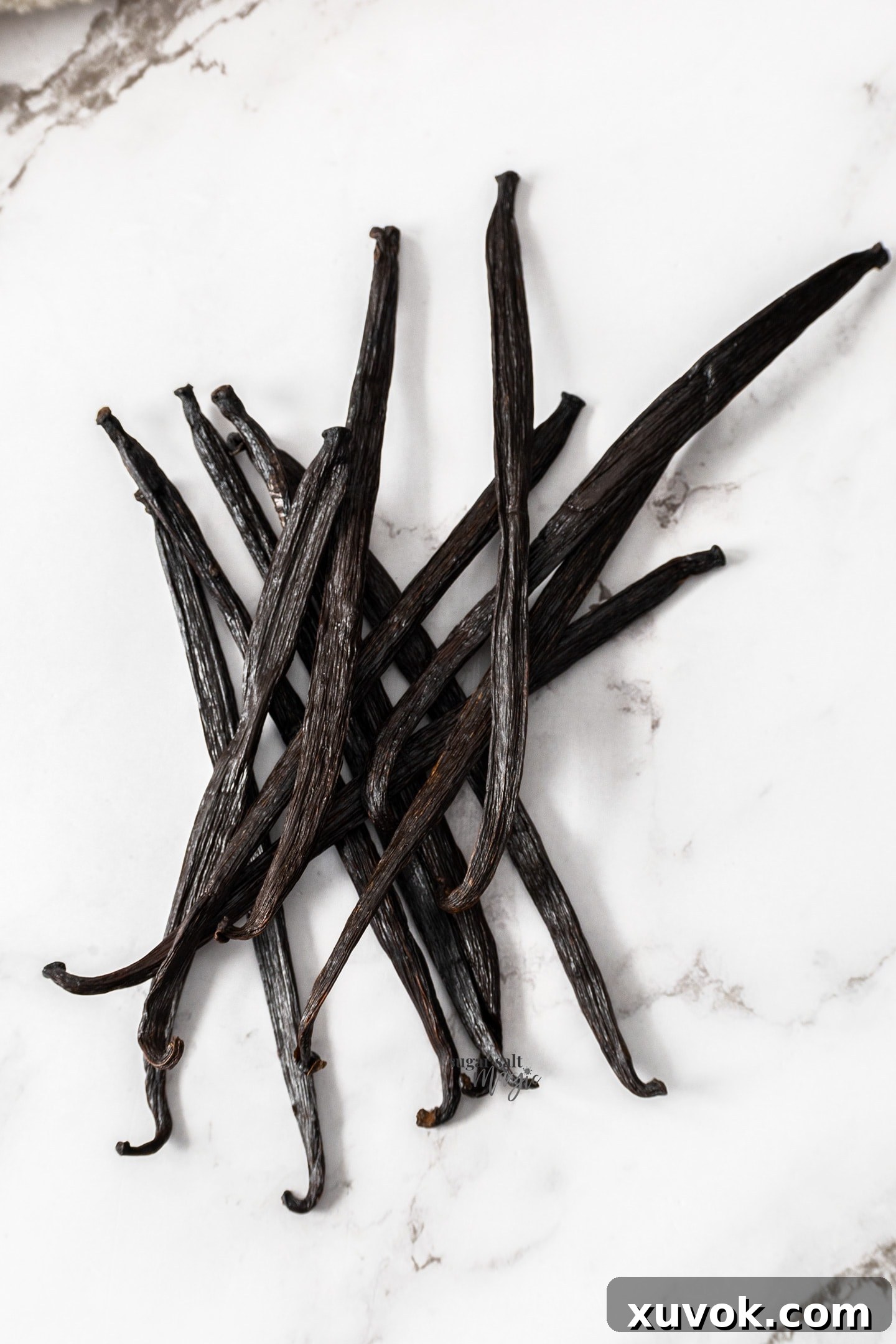 A bunch of plump vanilla beans, ready for use in making vanilla sugar.