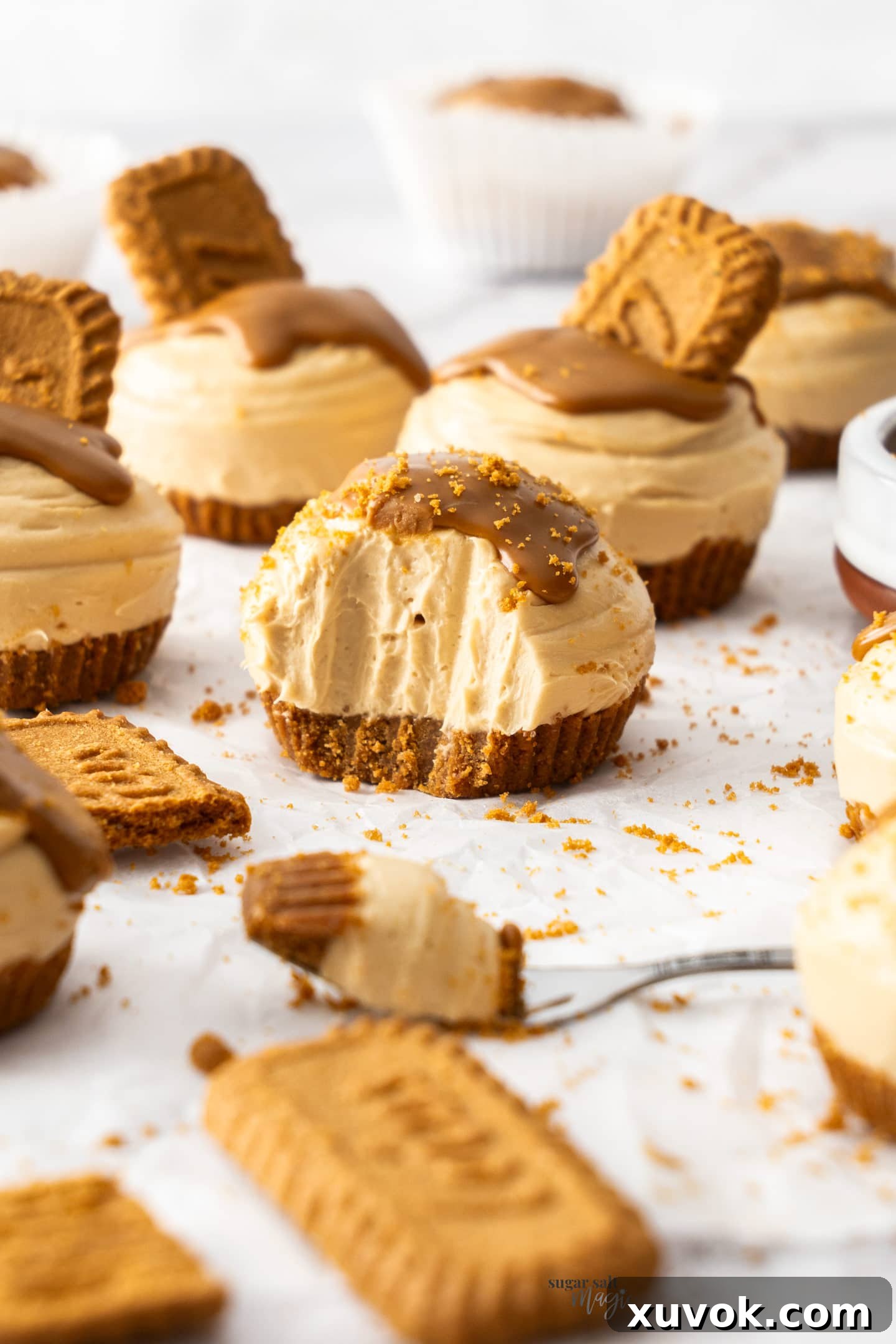 A mini cheesecake with a forkful scooped away.