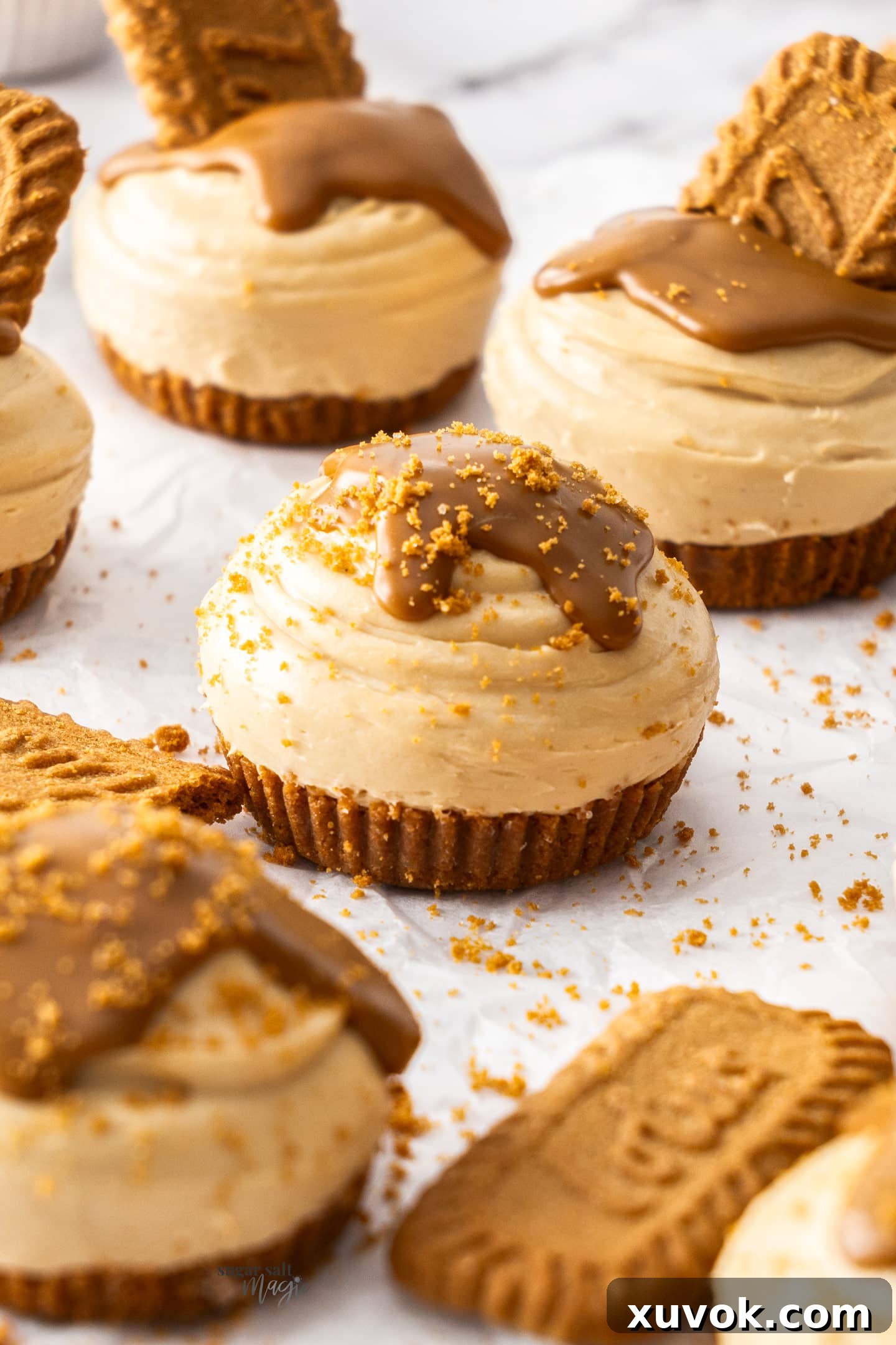 Super closeup of a mini Biscoff cheesecake.