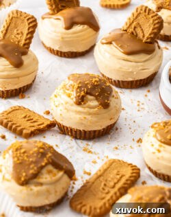 Closeup of a Biscoff cheesecake in the middle.