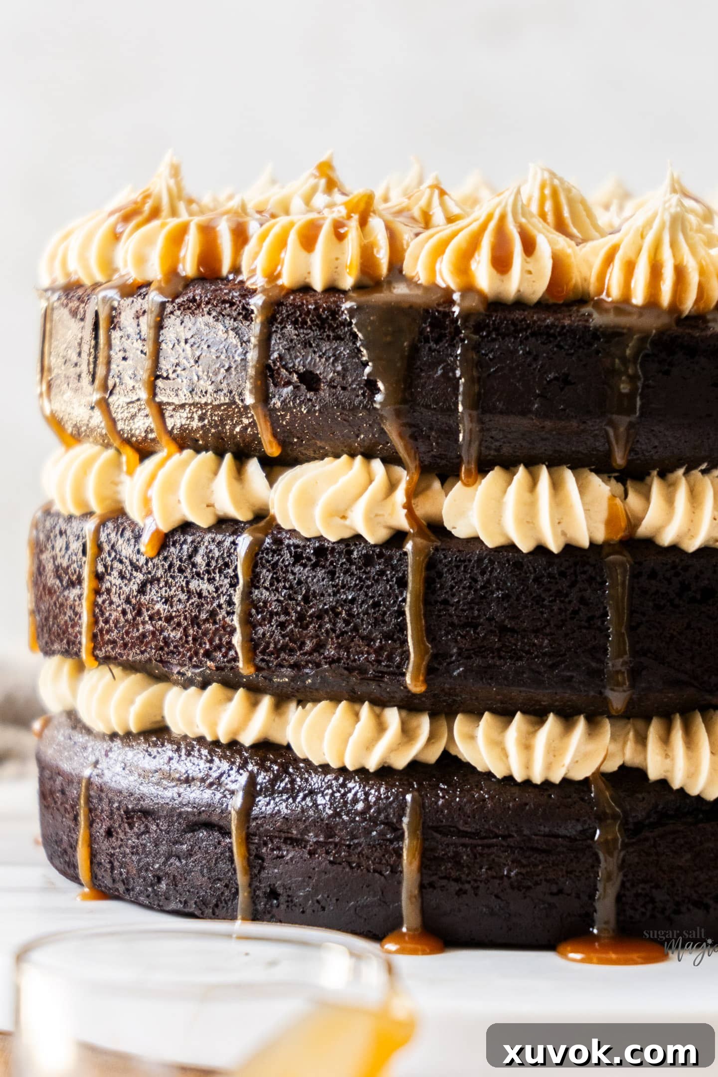 A stunning three-layer chocolate salted caramel cake, perfect for any celebration, showcasing its moist chocolate layers and creamy caramel frosting.