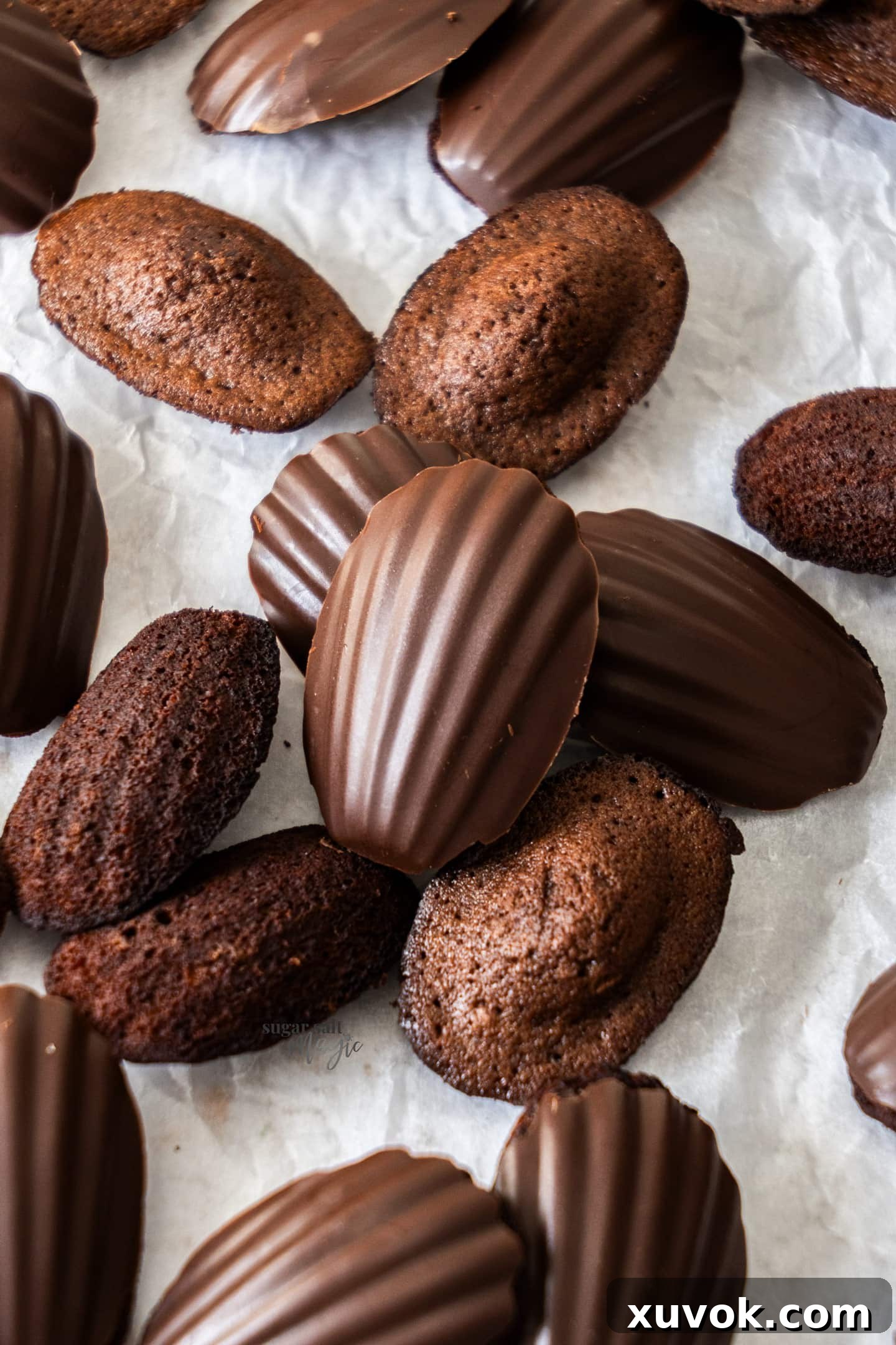 Closeup of a chocolate coated chocolate madeleine, showcasing its perfect dome and shell texture.