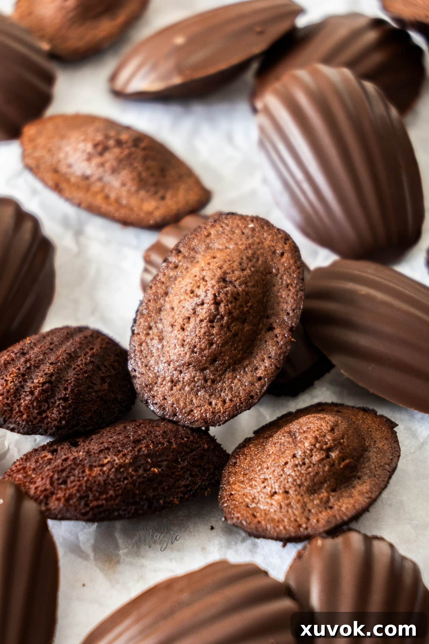 Closeup of the perfectly domed bottom of a chocolate madeleine, showing its fluffy texture.
