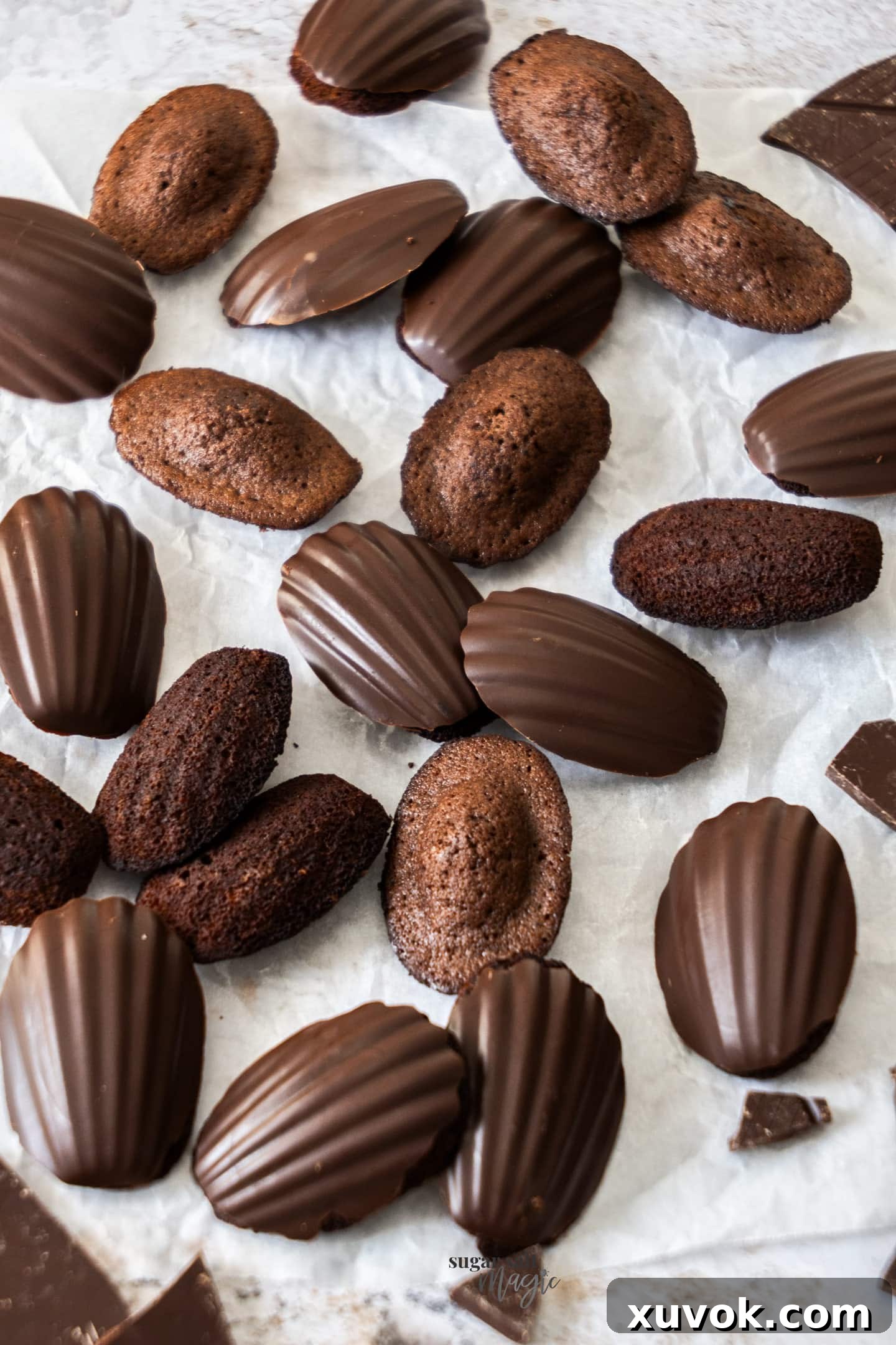 A full batch of freshly baked chocolate madeleines arranged beautifully.