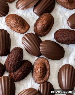 Top down view of lots of chocolate madeleines, showcasing their delicious appearance.