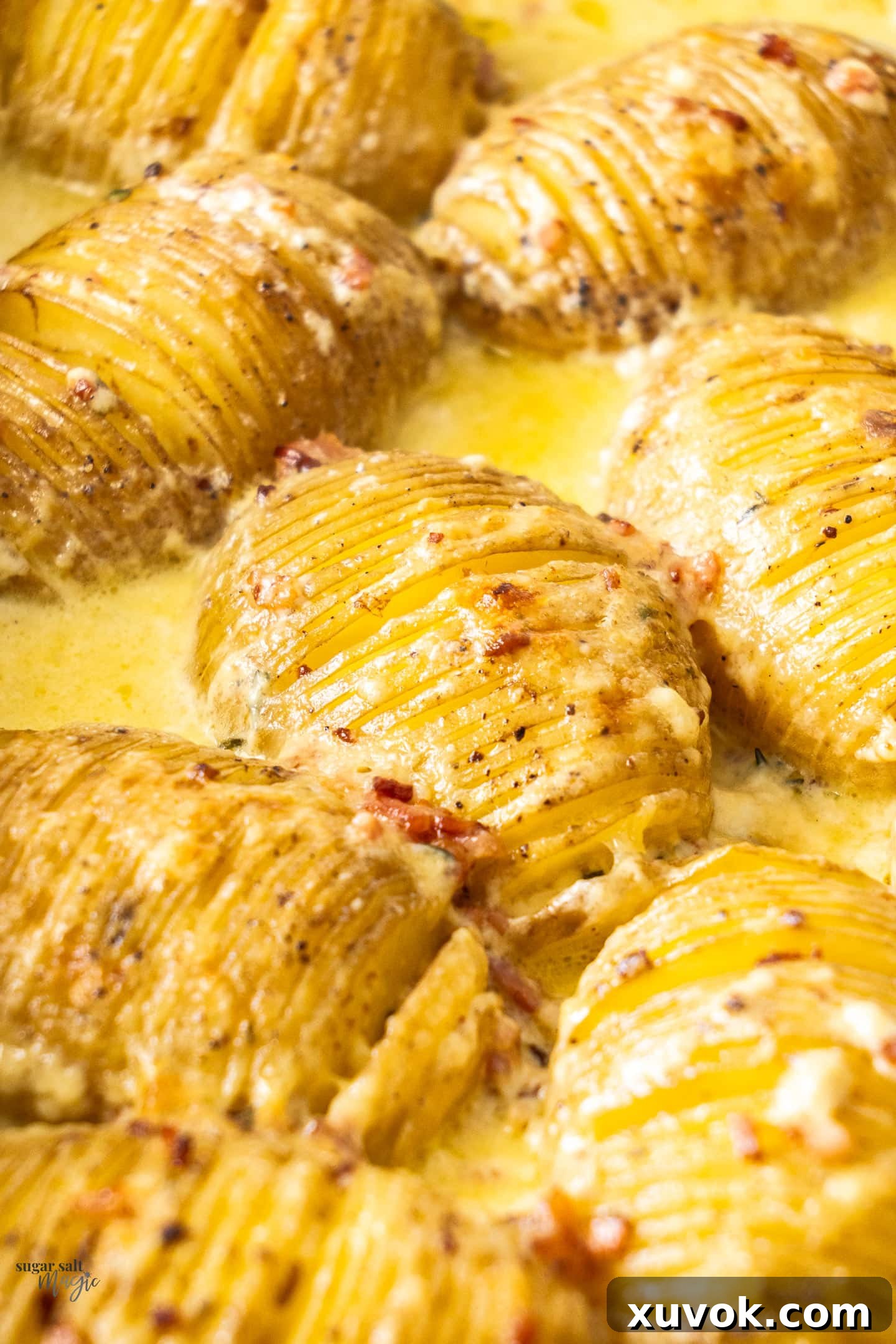 Closeup of a perfectly cooked hasselback potato in cream and cheese, showing rich texture.