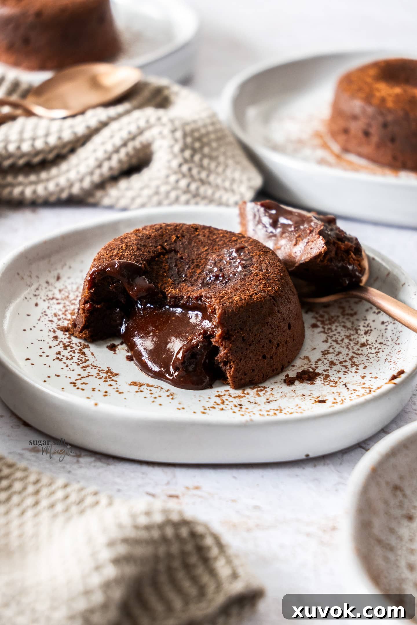 A chocolate fondant showcasing its luscious, gooey molten chocolate center.