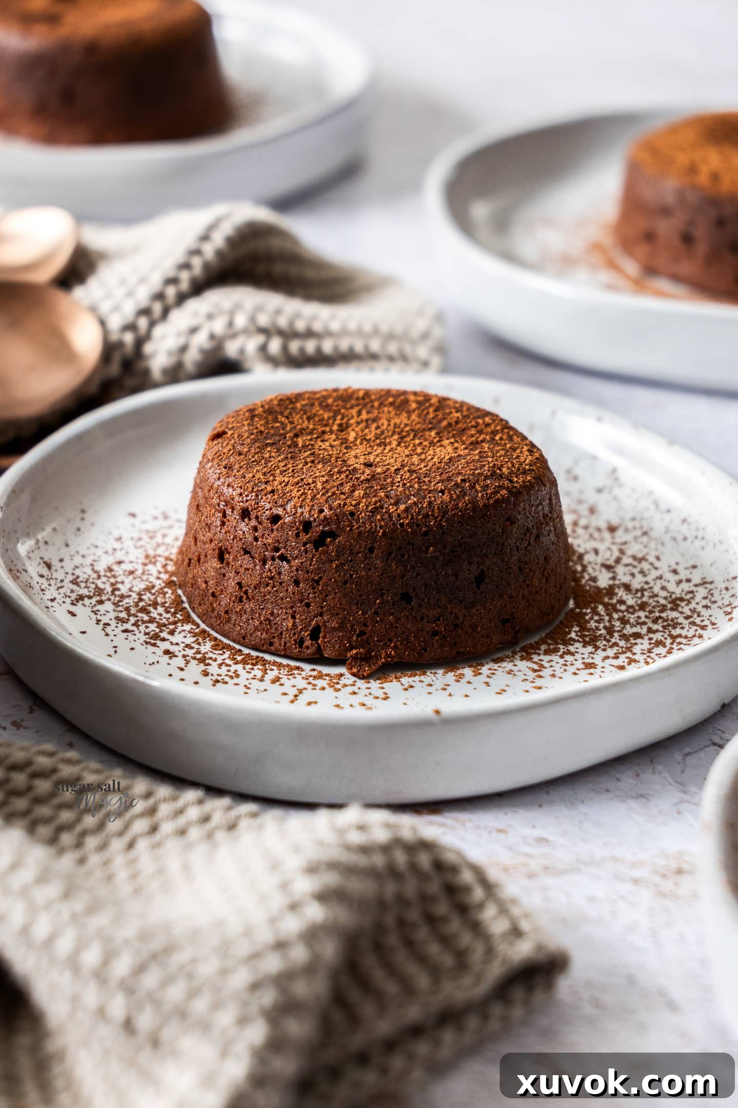 A beautifully presented whole chocolate fondant on a white dessert plate, lightly dusted with powdered sugar.