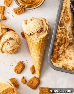 A waffle cone filled with scoops of homemade Biscoff ice cream.