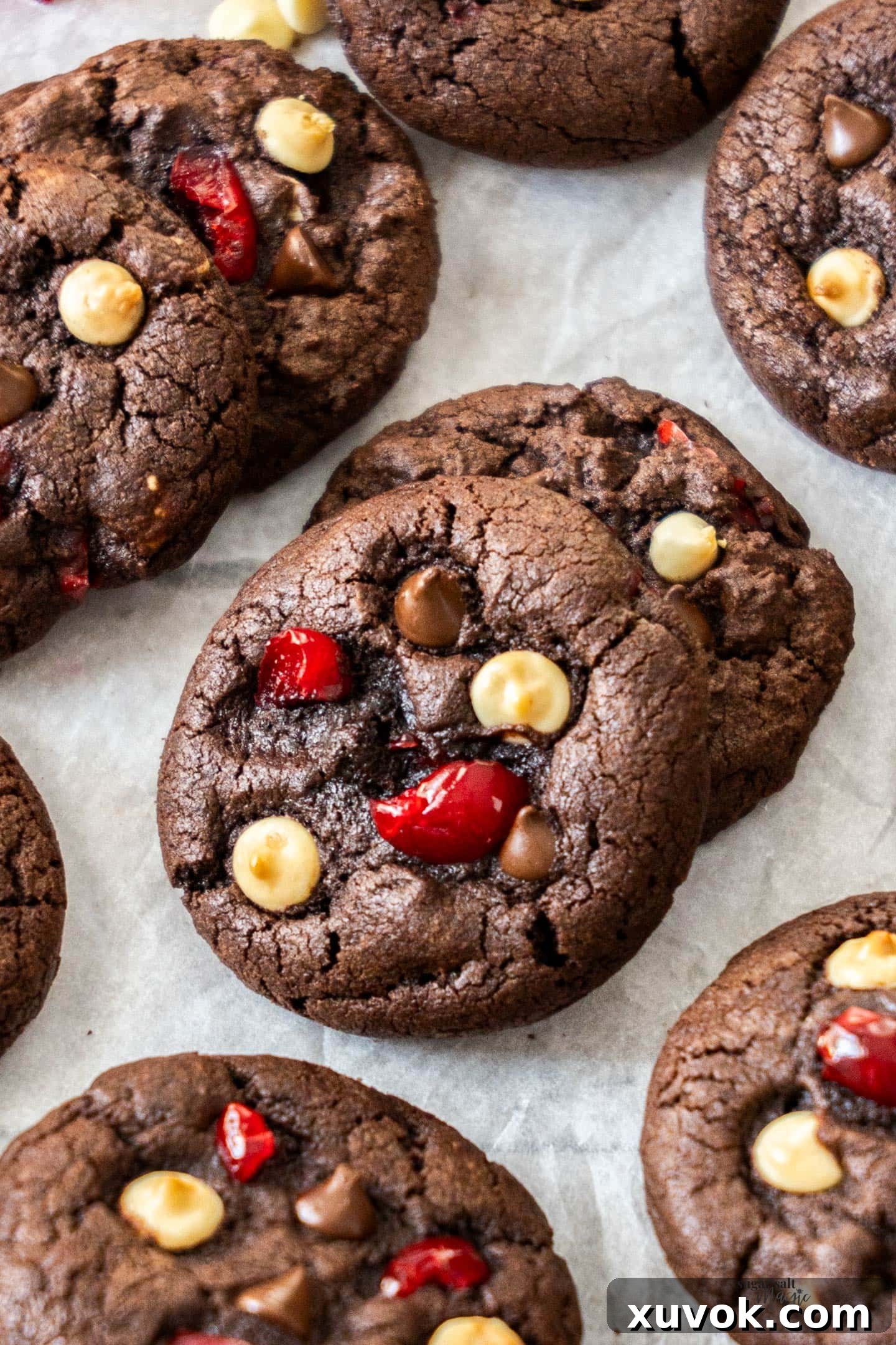 A cookie leaning up against another. Rich, fudgy black forest cookies with chocolate chips and bright red maraschino cherries.