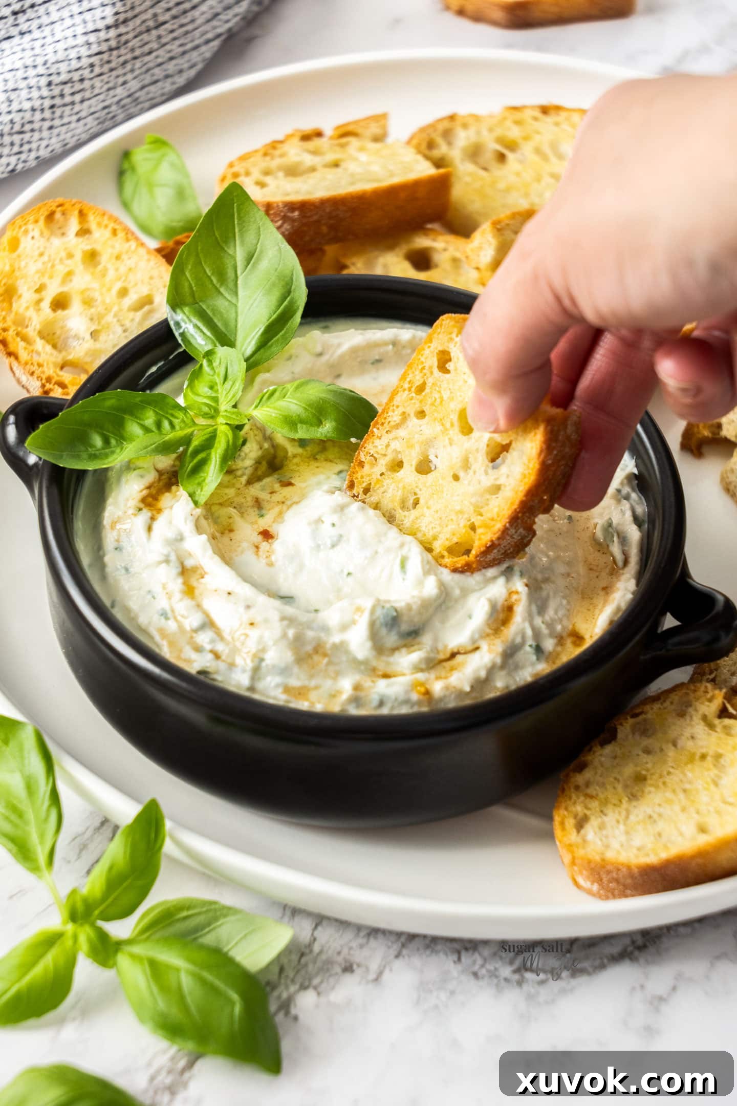 A close-up shot of a piece of perfectly toasted bread being dipped into a luscious bowl of creamy whipped ricotta dip, highlighting its inviting texture and the simple pleasure of indulging in this delightful appetizer.