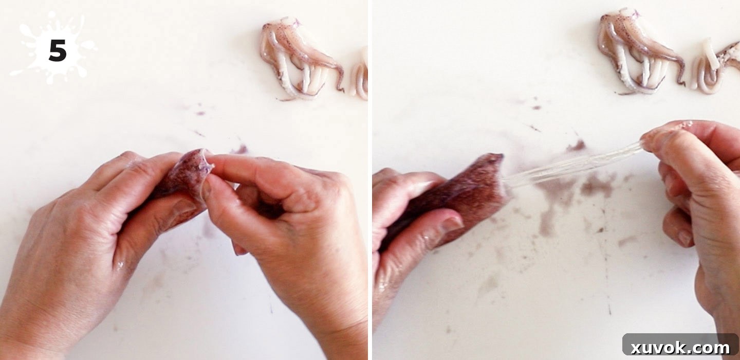 Pulling the transparent, feather-like gladius or 'pen' from inside the squid's body.