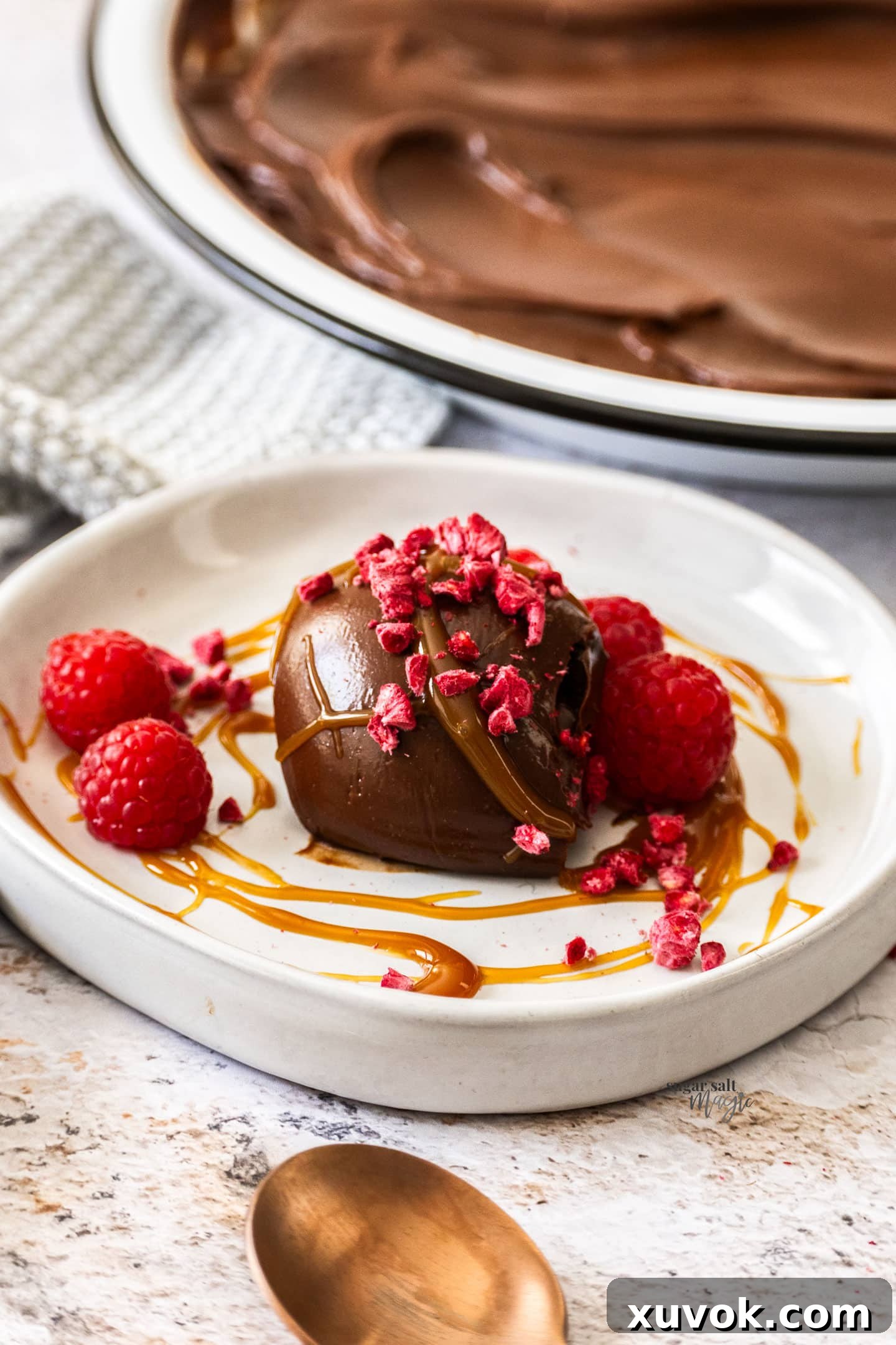 A beautiful scoop of chocolate cremeux, artfully garnished with caramel sauce and fresh raspberries.