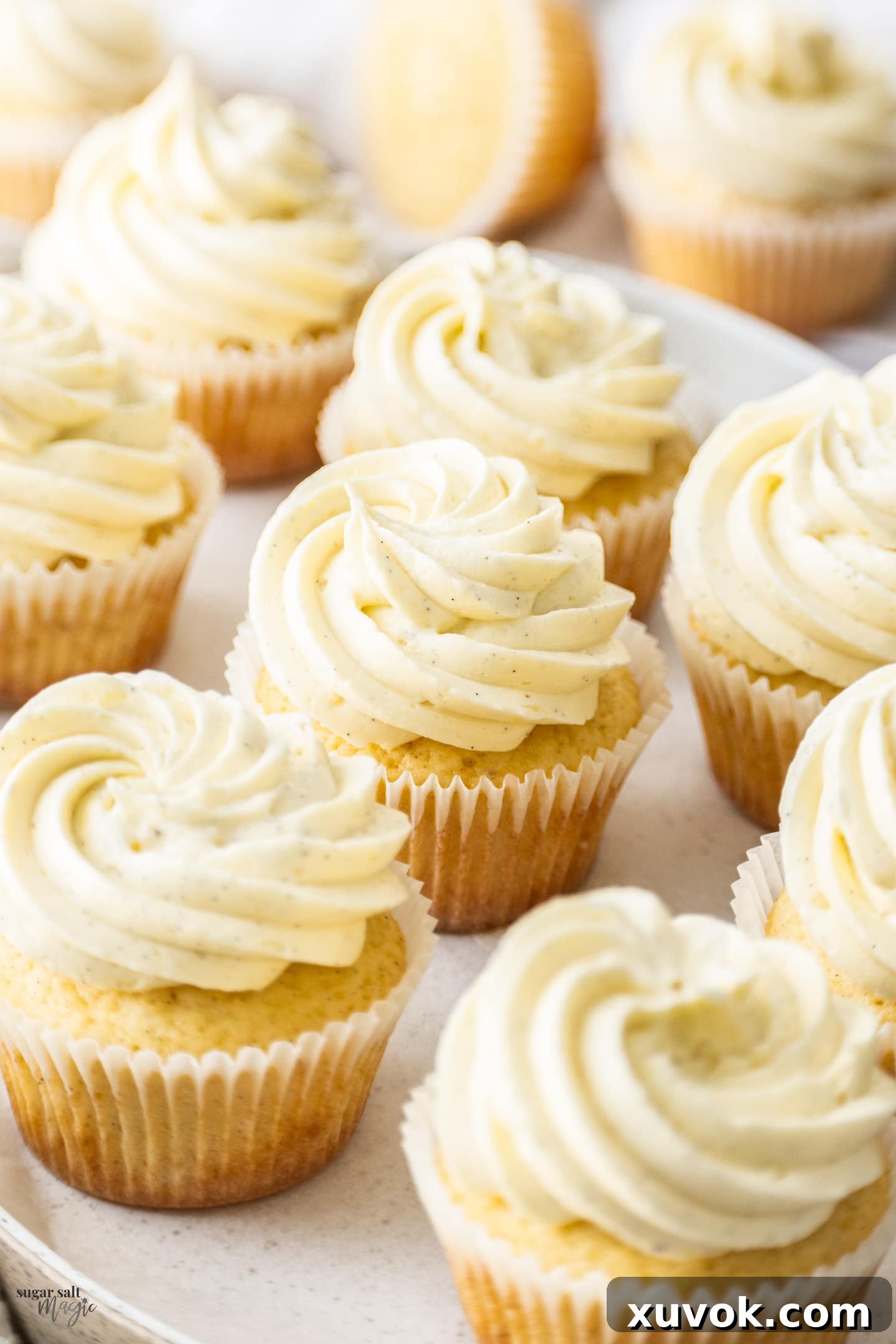 Closeup of a batch of vanilla cupcakes, showcasing their golden-brown tops and moist texture.