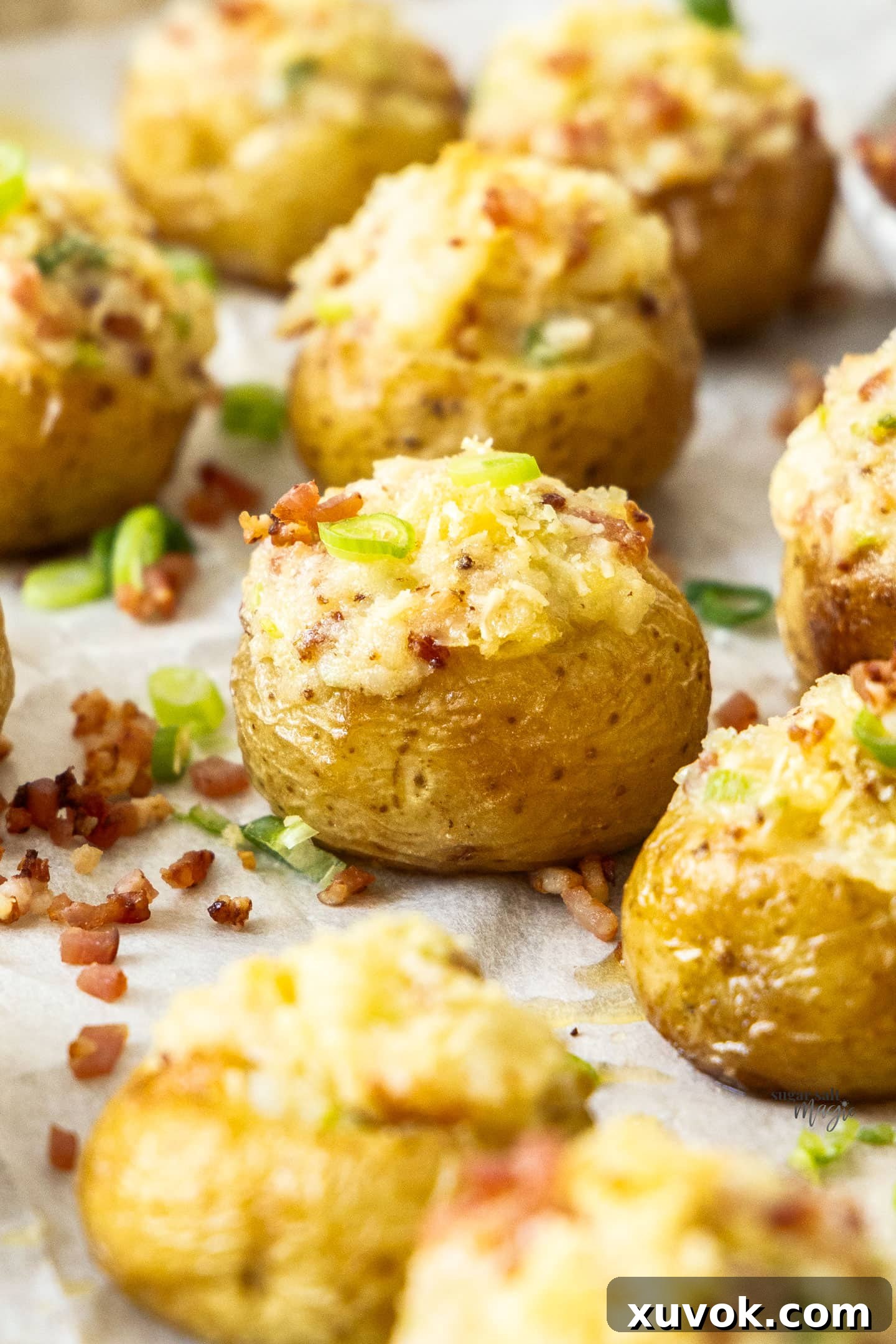 Closeup of a stuffed mini baked potato, garnished with fresh spring onions.
