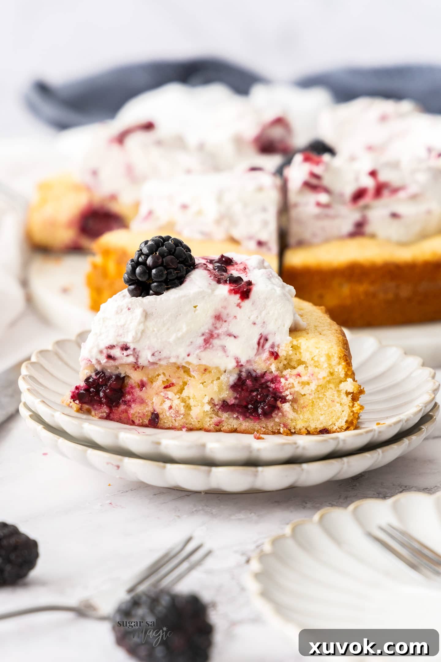 A delectable slice of lemon blackberry cake, perfectly topped with swirled cream, resting on a dessert plate.