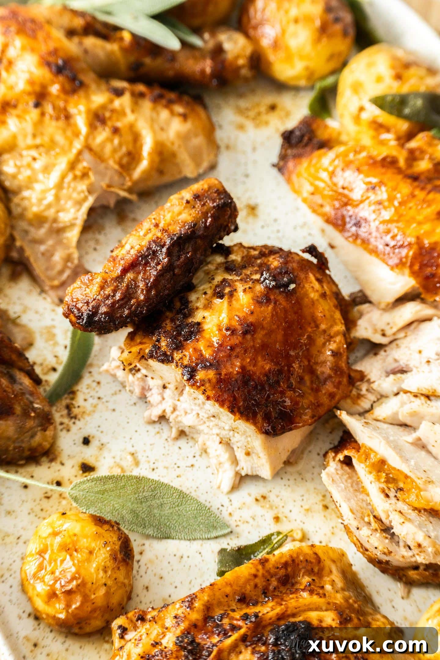 Wing portion of a roast chicken on a platter.