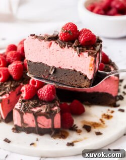A slice of mousse cake being held on a cake server.