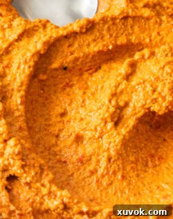 Extreme close up of a swirl of vibrant Romesco sauce, showcasing its rich texture.