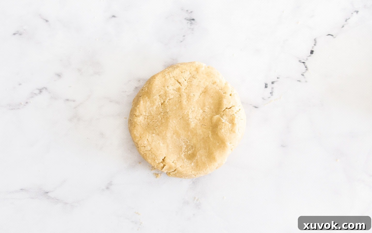 The pastry dough formed into a round disk, ready for rolling.
