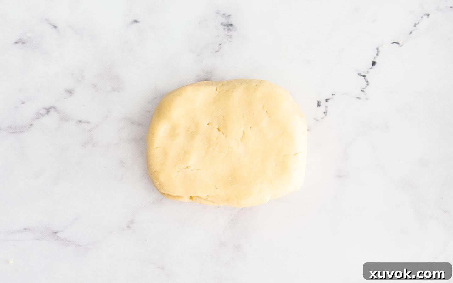 The pastry dough gently pressed into a flat disk, ready for chilling.