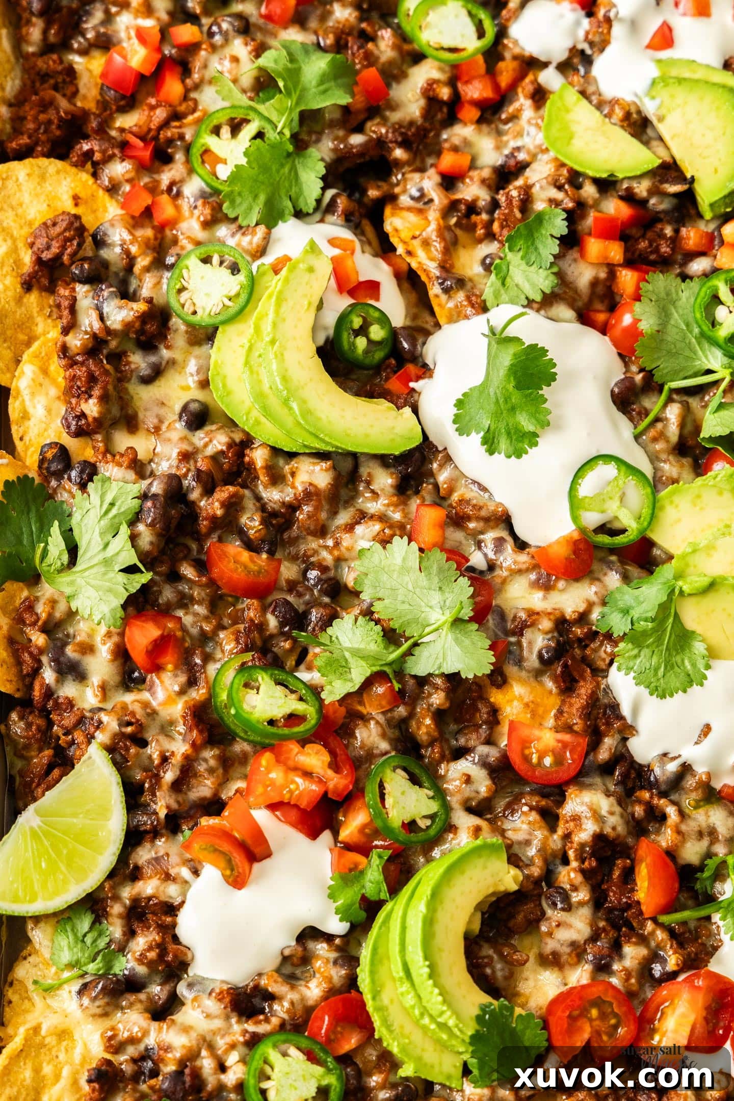 A close-up view of the rich, spiced ground beef mixture, studded with black beans and ready to be spread over crunchy tortilla chips.