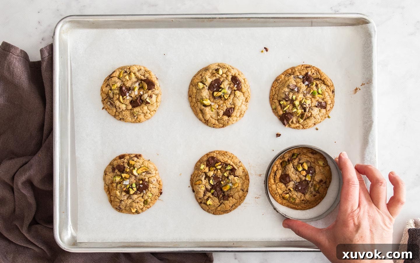 A hand rolling a circle cookie cutter around the baked cookies.