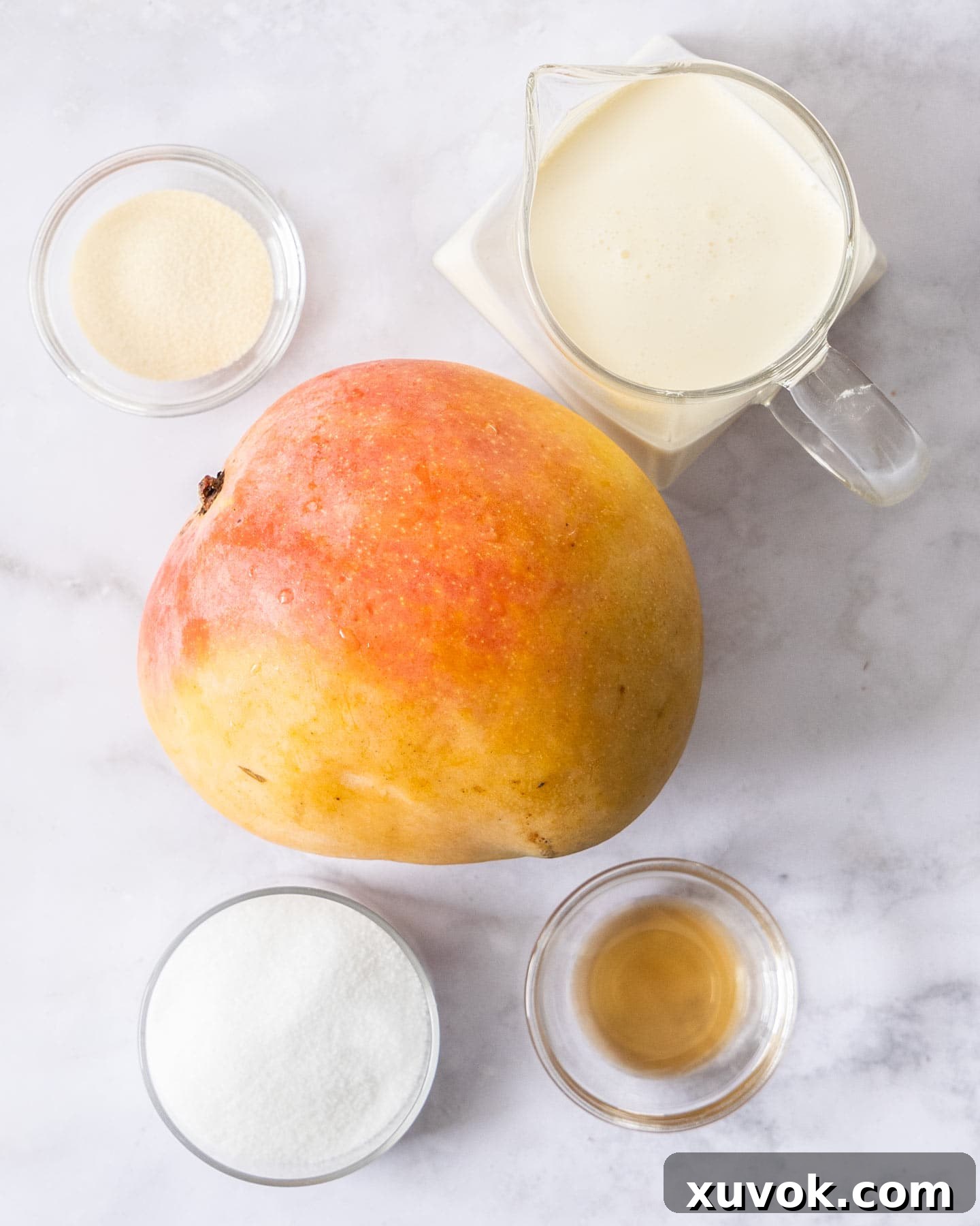 Ingredients for mango pannacotta arranged on a marble surface, including mango, cream, sugar, gelatin, water, and vanilla.