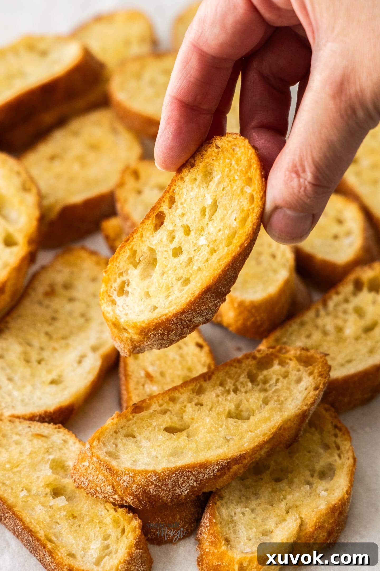 A hand holding a crunchy crostini.