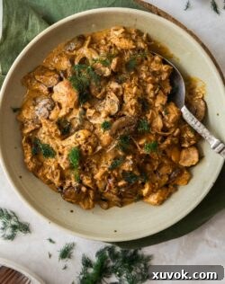 Top down view of a bowl filled with slow cooker chicken stroganoff, garnished with fresh dill.
