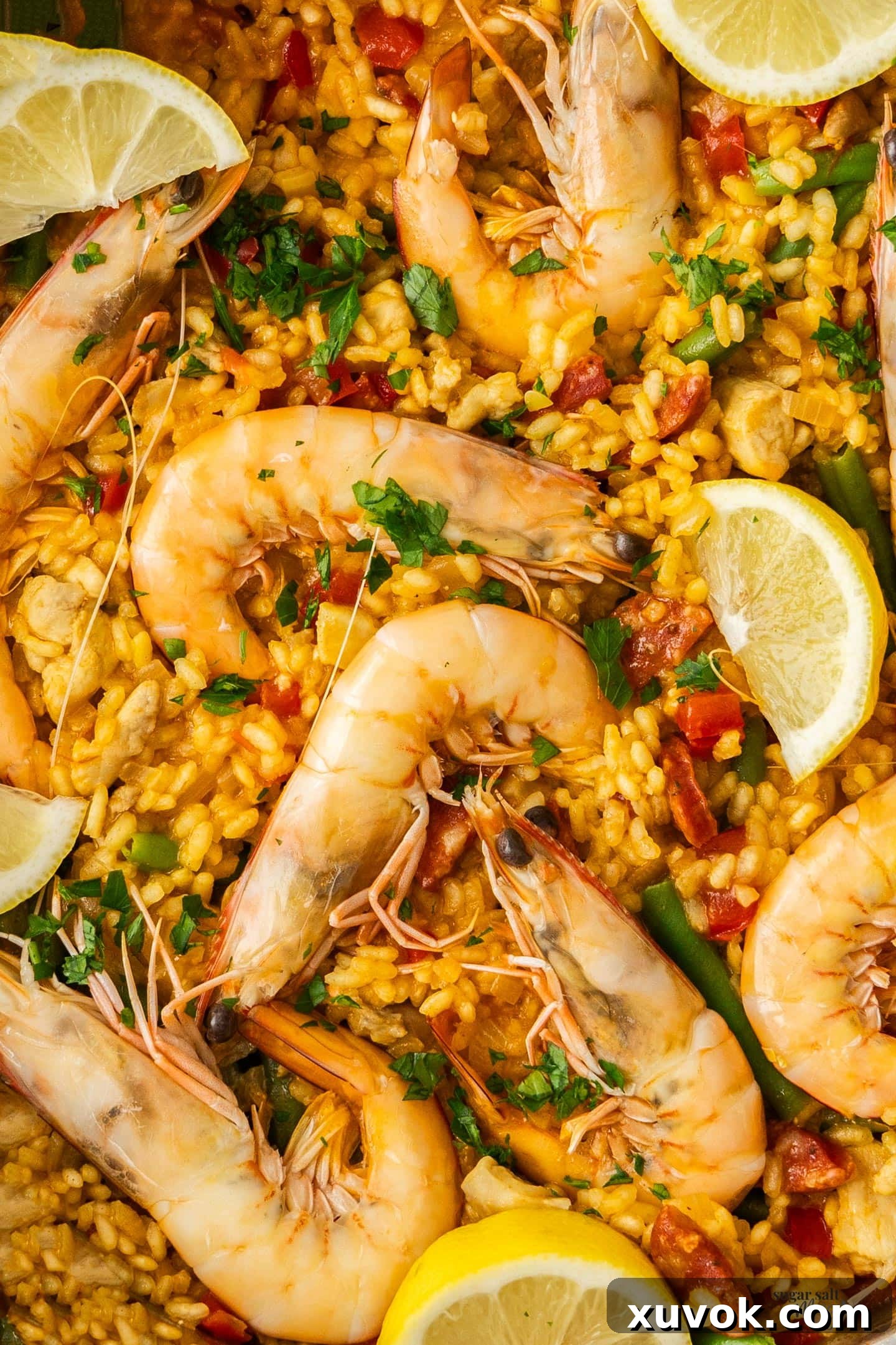 Closeup of the top of the chicken chorizo paella.