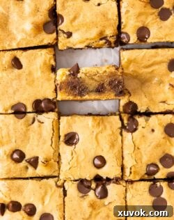 Top down view of 12 blondies with one angled up toward the camera, showcasing the browned butter and chocolate chips.